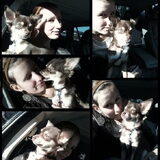 Foto van Toby <3