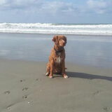 Op het strand, hier is hij 5 maanden