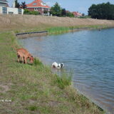 knap hoor dat turbo al zover in het water durft.