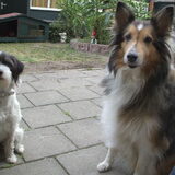 samen in de tuin die ik aan het veranderen ben, op 30 aug.'12.