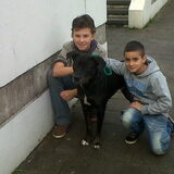 Foto van Tineke *Luna * Rambo (Brutus R.I.P)