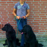 Foto van Tineke *Luna * Rambo (Brutus R.I.P)