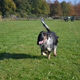 Foto van Sharon & Harley