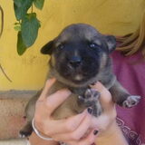 Baby zus Lauri.