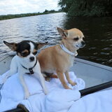 bobita en mini mee op de boot :-)