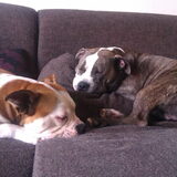 Samen slapen :)