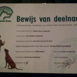 Diploma basiscursus van Evy. Helaas wel de verkeerde naam.