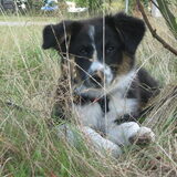 Wish die lekker in het gras lag te spelen op de camping ^^
