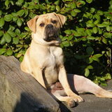 lekker chille in de zon...
