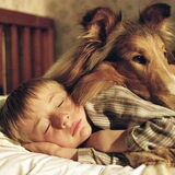 lassie :p