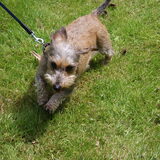 onze super lola