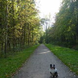 Foto van Lizzie en Sterre