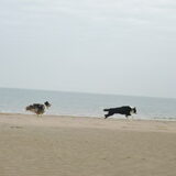 Foto van Lizzie en Sterre