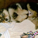 Tom <3
