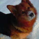 Sneeuwpret :)
