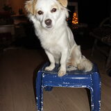 Foto van Taiko & Kiya Thalassa