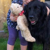 een heel lief knuffel momentje.