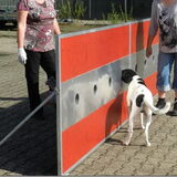 bikkel aan het sorteren op vreemde geur
