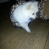 Foto van Ariane & Snowy