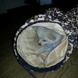 Foto van Ariane & Snowy
