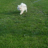 Foto van Ariane & Snowy