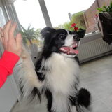Foto van Vivian   <3    Sem
