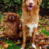 Foto van Lisette, Chico & jersey