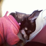 sleeping beauty :)