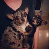 boo en haar lieve vriendinnetje bambi