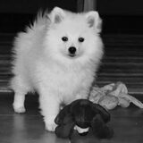 Flynn als baby :)