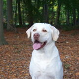 Foto van esther