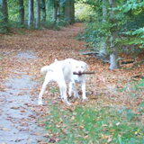 Foto van esther