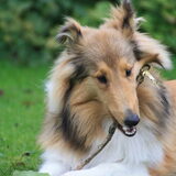 Rivka en haar stokje @ 28 weken