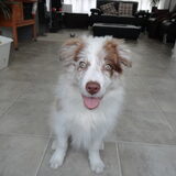 Foto van Vivian   <3    Sem