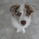 Foto van Vivian   <3    Sem