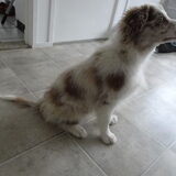 Foto van Vivian   <3    Sem