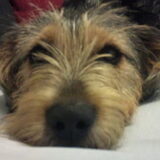woezel :-)