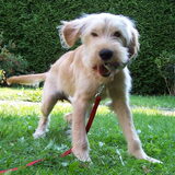 Dit is Spike's vriendinnetje Matchy. Dinsdag 18 augustus is ze in ons…