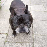 Foto van Zoë