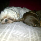 Lief! Samen slapen