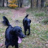 Foto van Simone, Quint en Bo