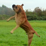 Playing