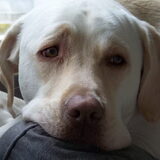 Foto van esther
