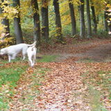Foto van esther