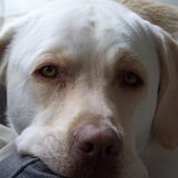 Foto van esther