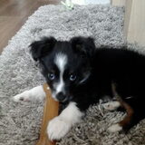 Foto van Manja