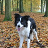10,5 maand