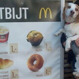 Een MacPukkie ontbijtje ... zou dat smaken? :-)