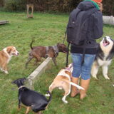 ons tamara met de hondjes:p