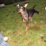 onze percy die even superman wou na doen :p jaja